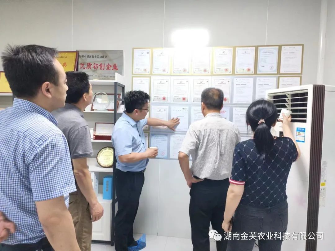 湖南金芙農業(yè)科技有限公司,湖南蛹蟲(chóng)草,湖南羊肚菌,蛹蟲(chóng)草,羊肚菌,龍新,蟲(chóng)草酒哪里好,衡陽(yáng)食用菌,衡陽(yáng)羊肚菌,衡陽(yáng)蛹蟲(chóng)草